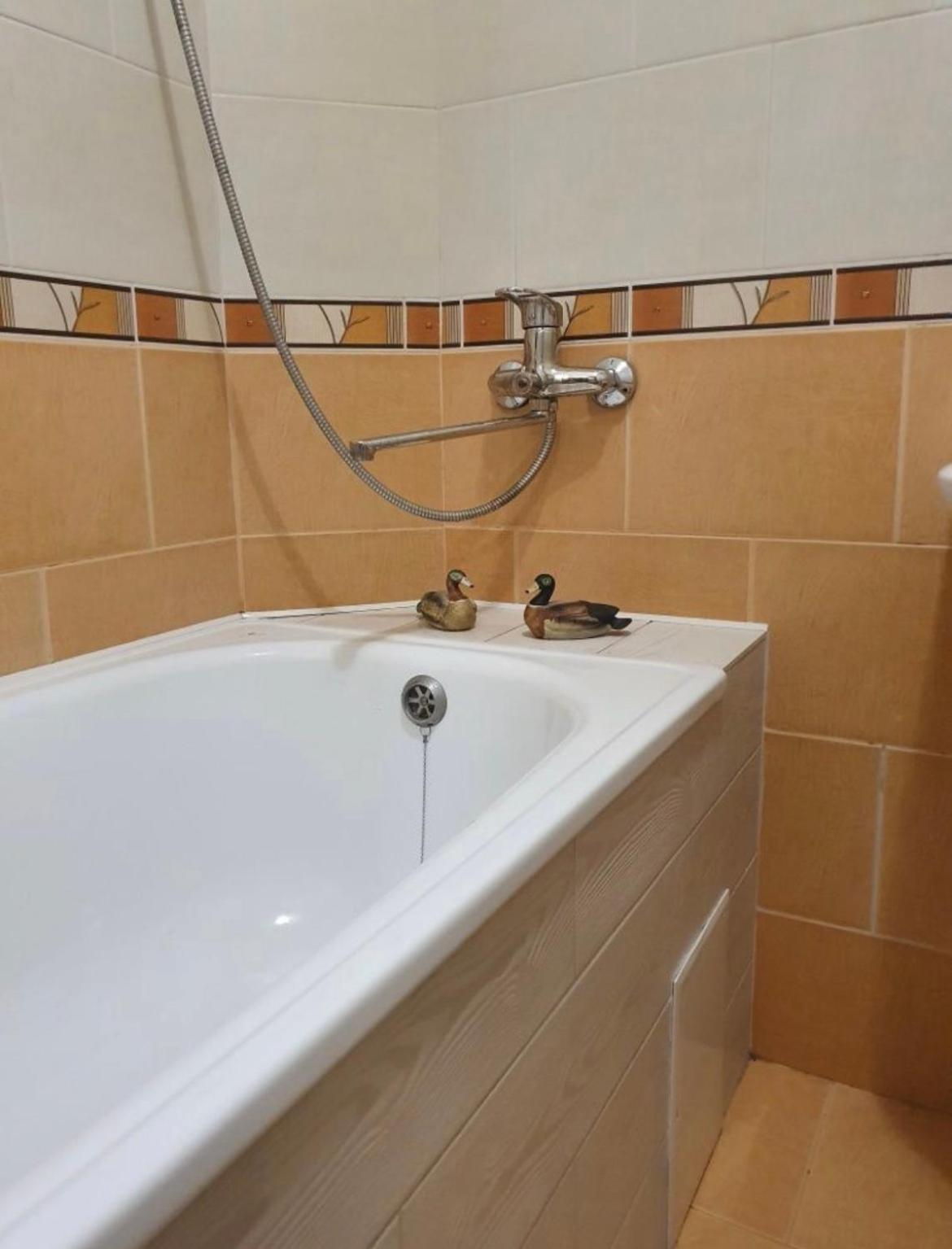 Apartment затишна в центрі міста Lutsk